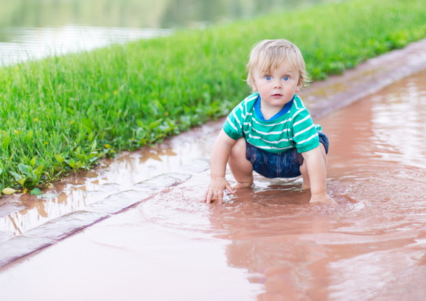 shutterstock_108383927