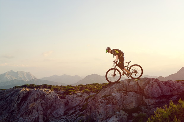 shutterstock_208232557