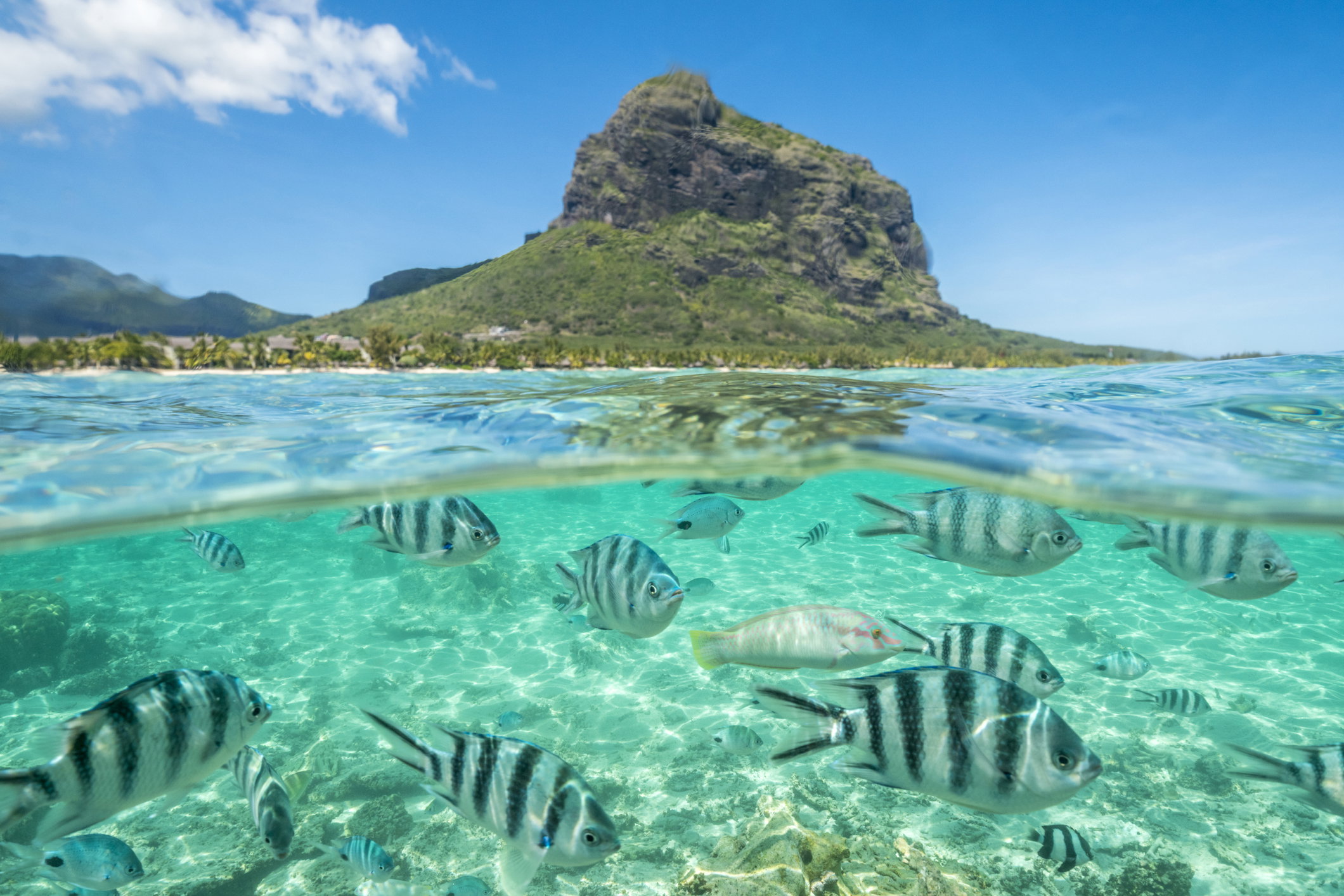Nie będziesz chciał tego miejsca opuścić. Mauritius to raj na Ziemi