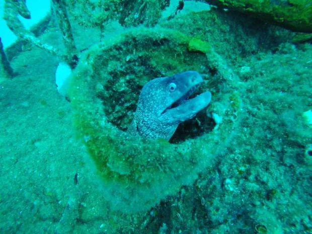 światowy dzień oceanów