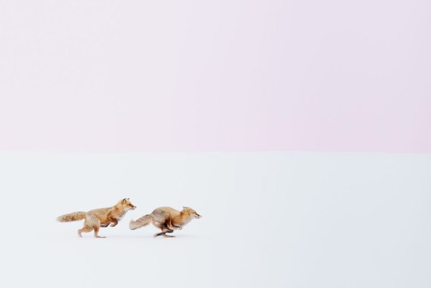 Konkurs Travel Photographer of the Year 2016