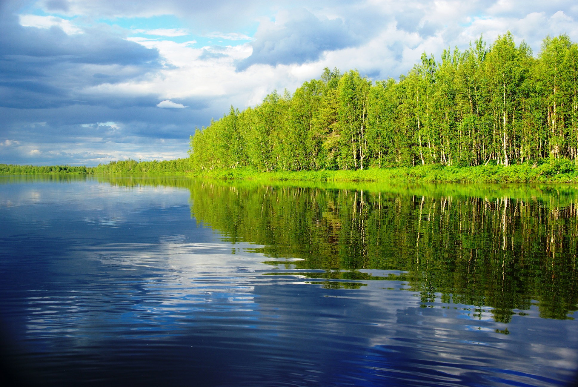 Morze zieleni i walka z rzeką. Odcinek 5 relacji z wyprawy do Laponii