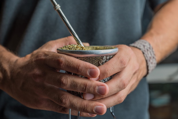 Yerba mate