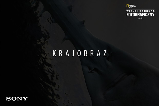 Krajobraz
