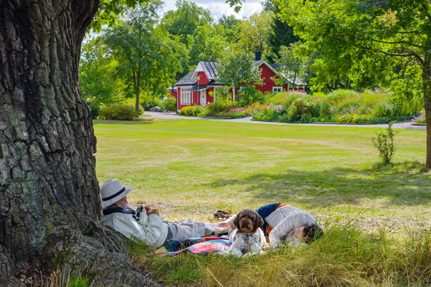 Odpocznij w Djurgarden