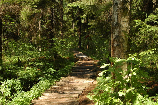 Szlaki