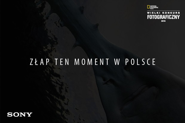 Złap ten moment w Polsce