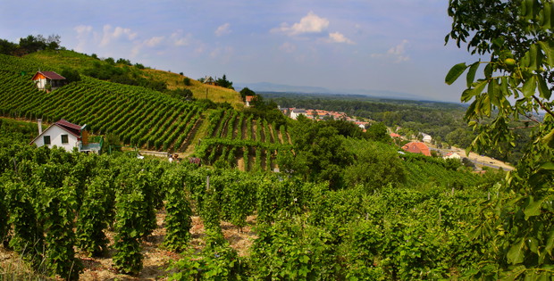 5. Tokaj