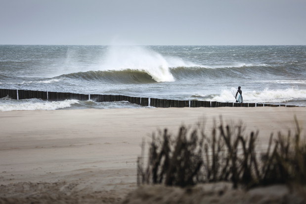Bałtyccy surferzy