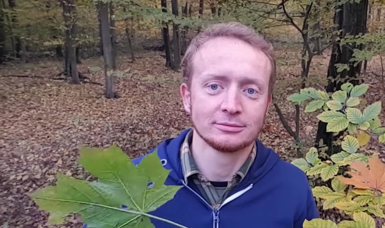 Dlaczego warto liście zostawić samym sobie?