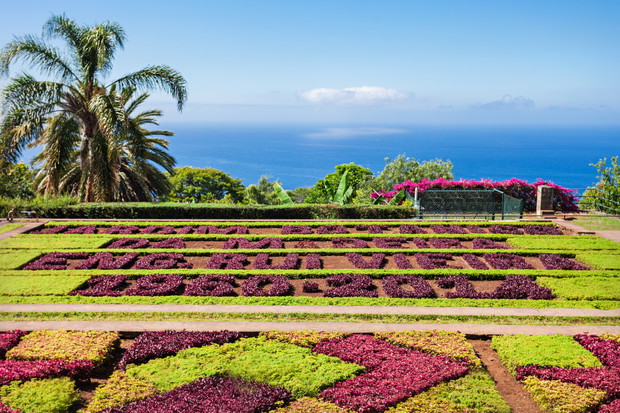 Jardim Botânico da Madeira