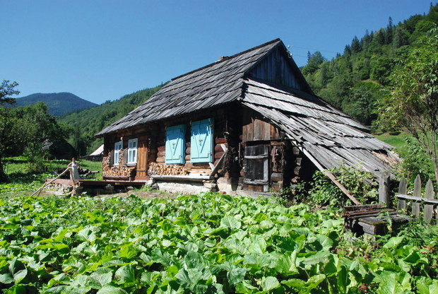 Jędrykowa Sadyba We wsi Czernik