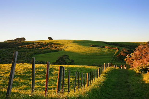 1. Te Araroa, Nowa Zelandia