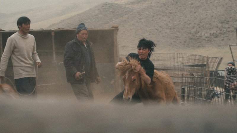 „Zud”, najnowszy film Marty Minorowicz