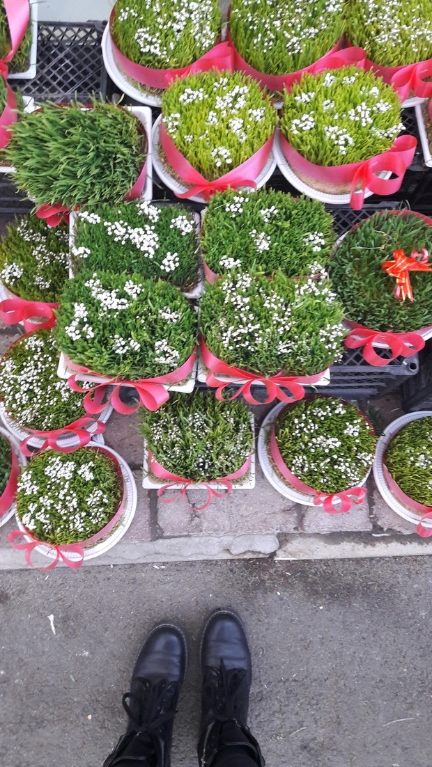Samani - jedna z obowiązkowych dekoracji na stole podczas Nowruz Bajram.
