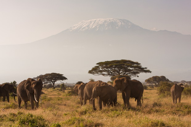 Tanzania: Kilimandżaro i plaże