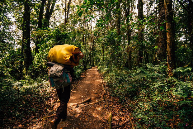 Tanzania: Kilimandżaro i plaże