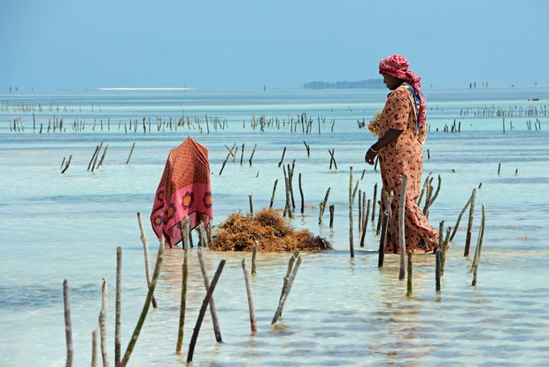 Tanzania: Kilimandżaro i plaże