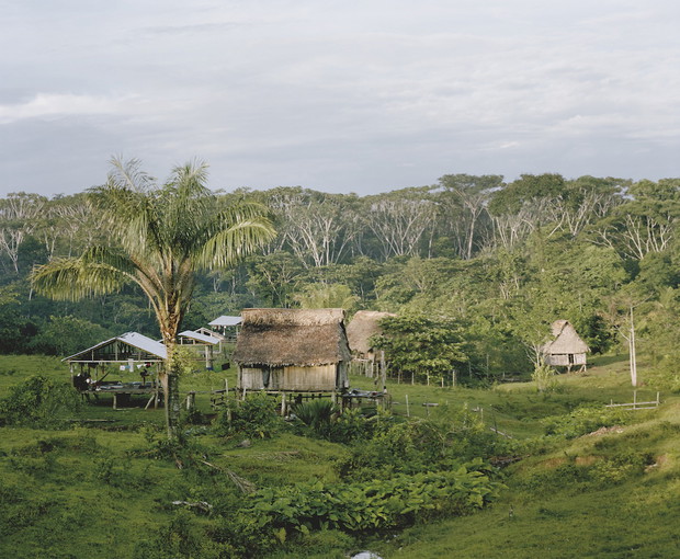 Współczesna Amazonia