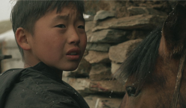 „Zud”, najnowszy film Marty Minorowicz