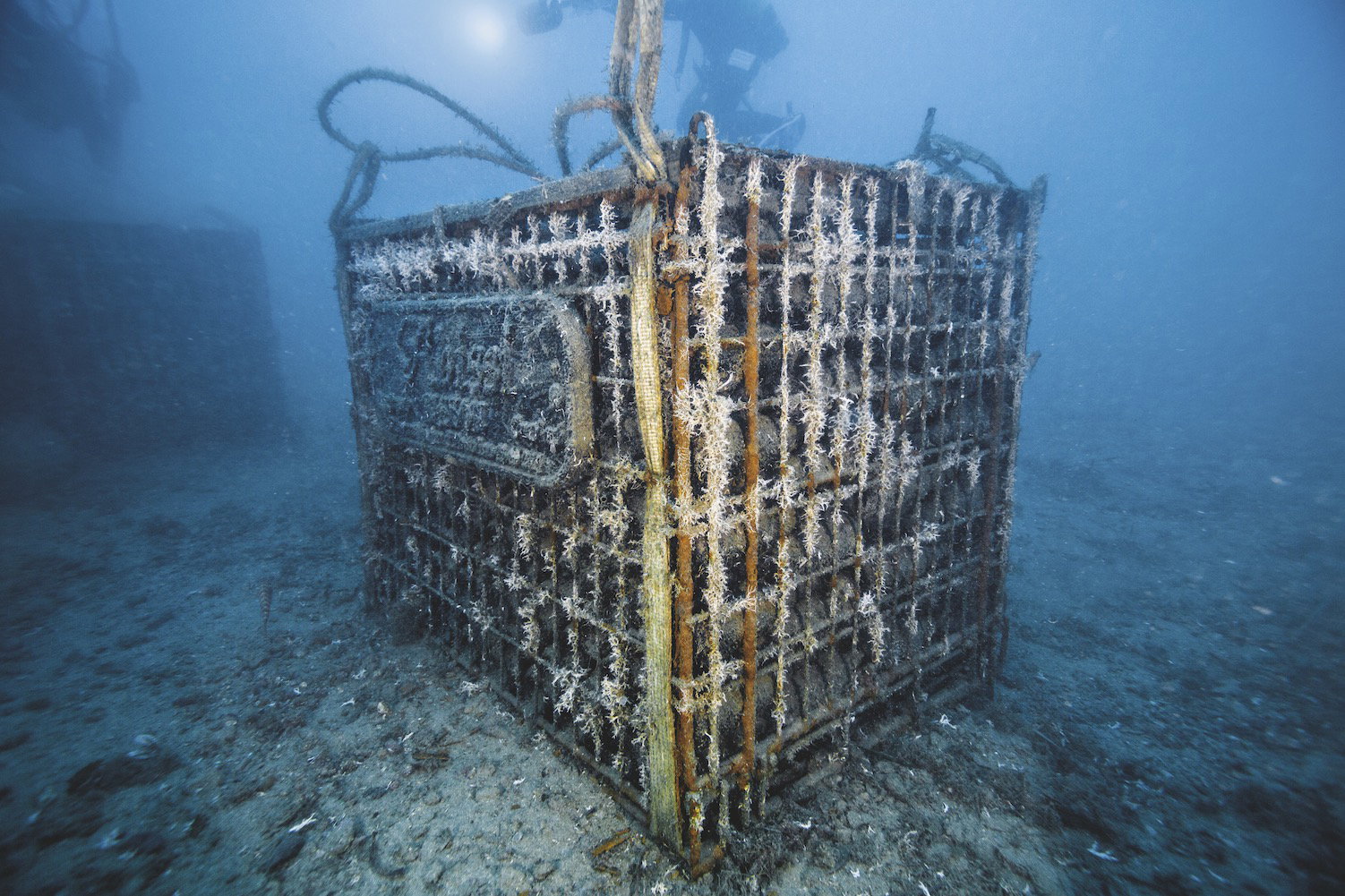 Szampan z oceanu
