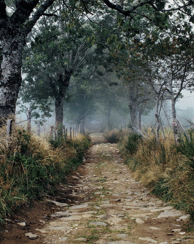 Camino de Santiago