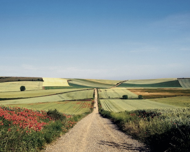 Camino de Santiago