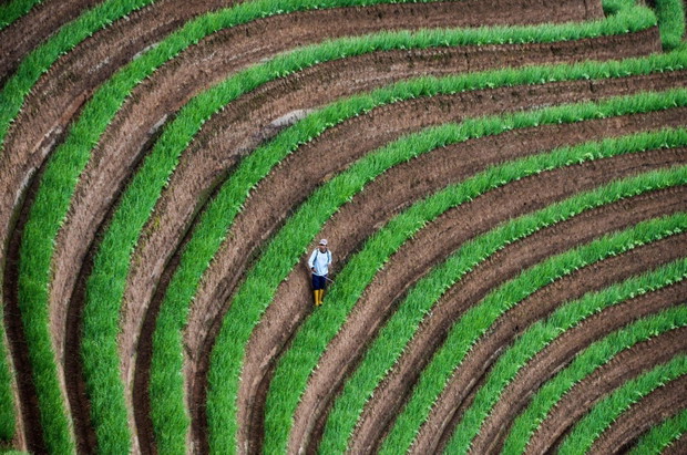 Majalengka, Indonezja