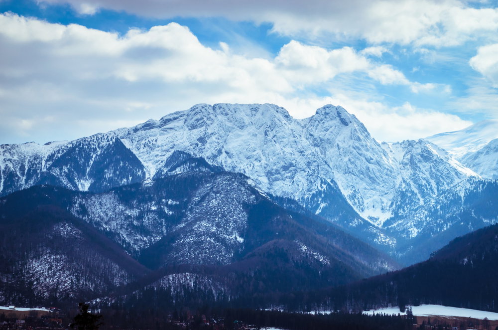 Zakopane: Spotkania filmowe