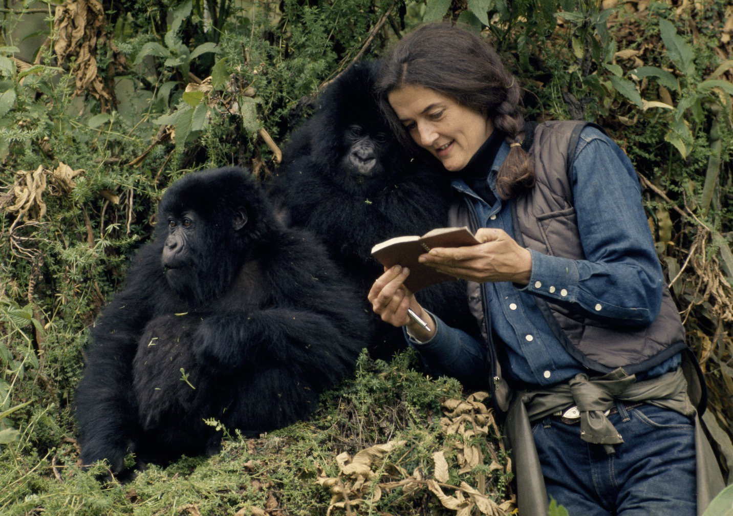 Dian Fossey