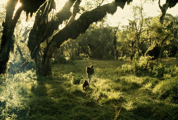 Dian Fossey