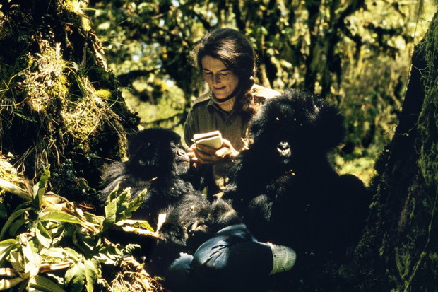 Dian Fossey