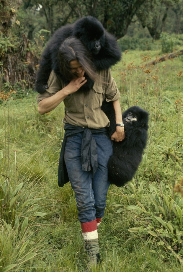 Dian Fossey