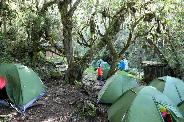 Nasz obóz na Umbwe Cave Camp (2850 m n.p.m.). Poranek zapowiadał słoneczny dzień. Jednak po godzinie zaczęło mżyć.