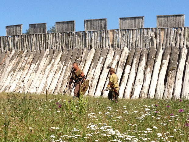 Vikings
