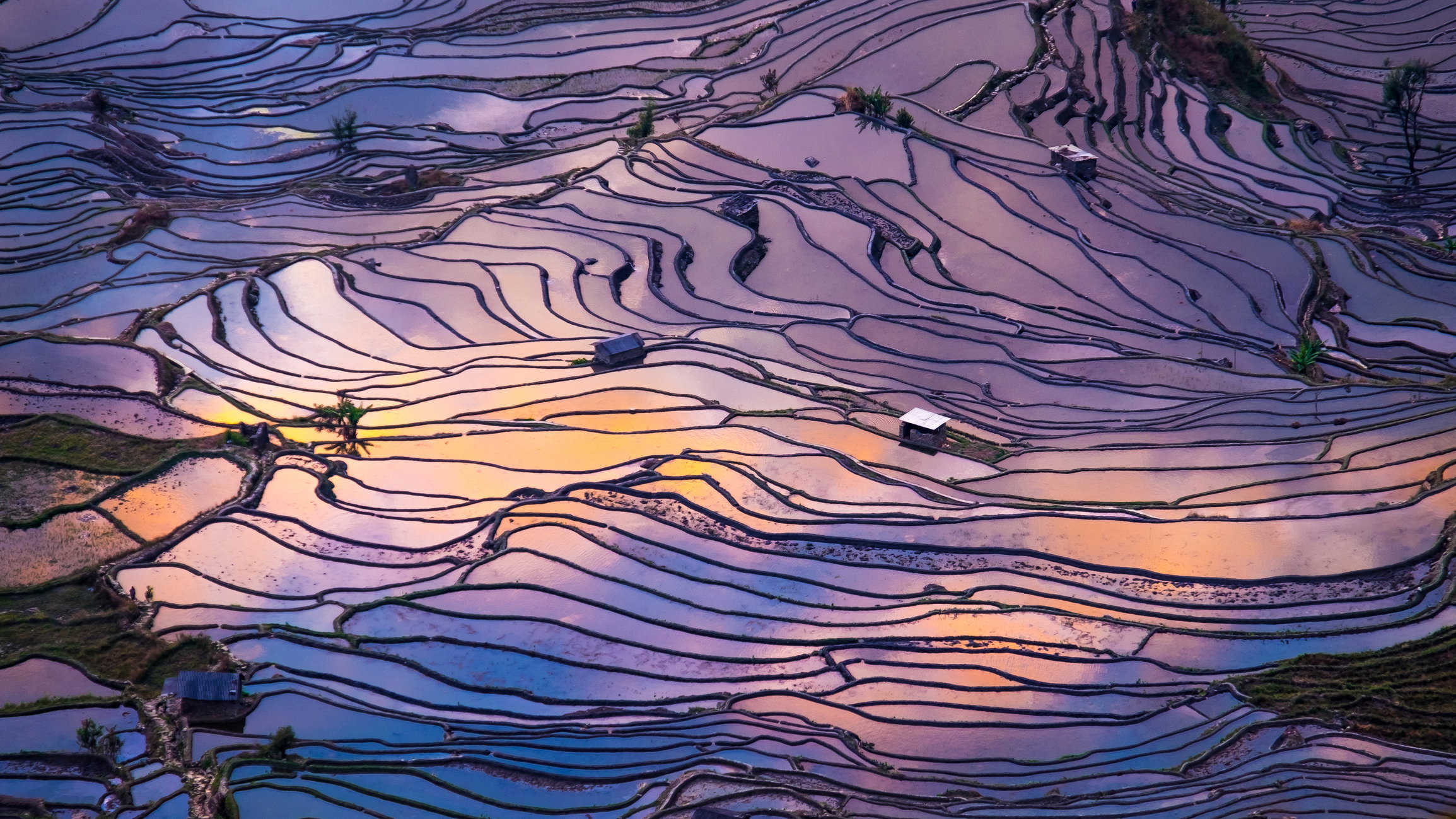 Yunnan, Chiny