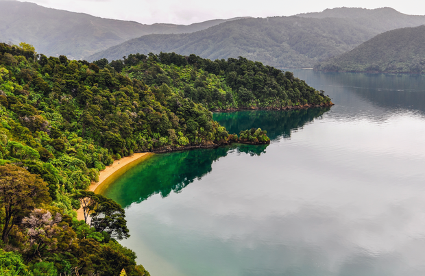 Queen Charlotte Sound Jedna z zatok Marlborough Sounds – zalanych przez Pacyfik dolin rzecznych. Wody są tu często bardzo spokojne, dlatego warto wybrać się na jej podziwianie jachtem.