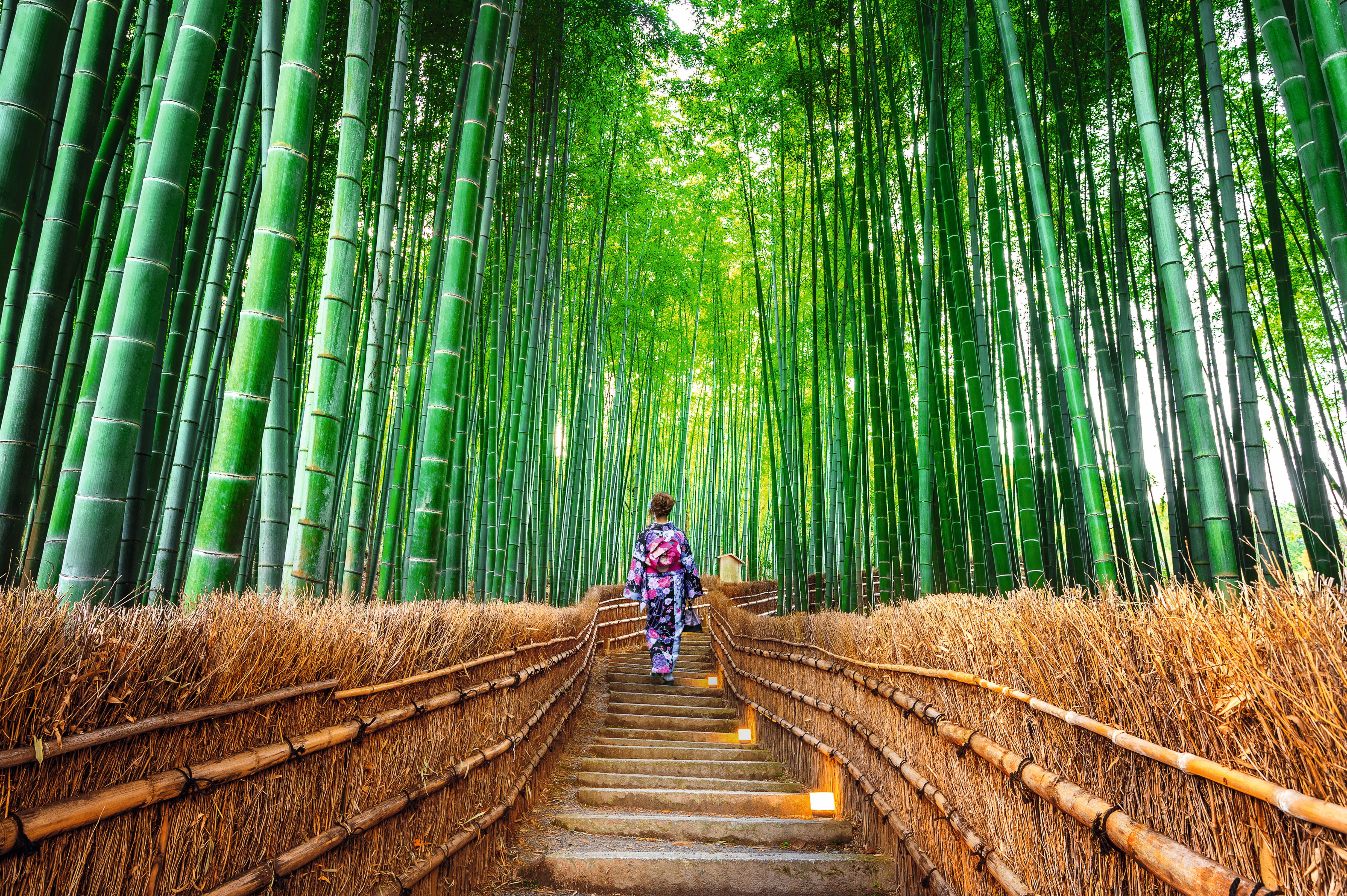 AdobeStock_183190168