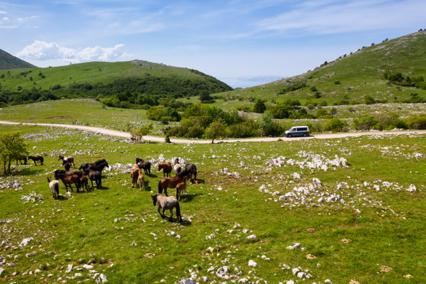 Chorwacja