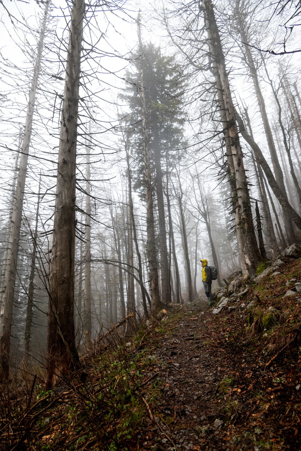 Sjeverni Velebit