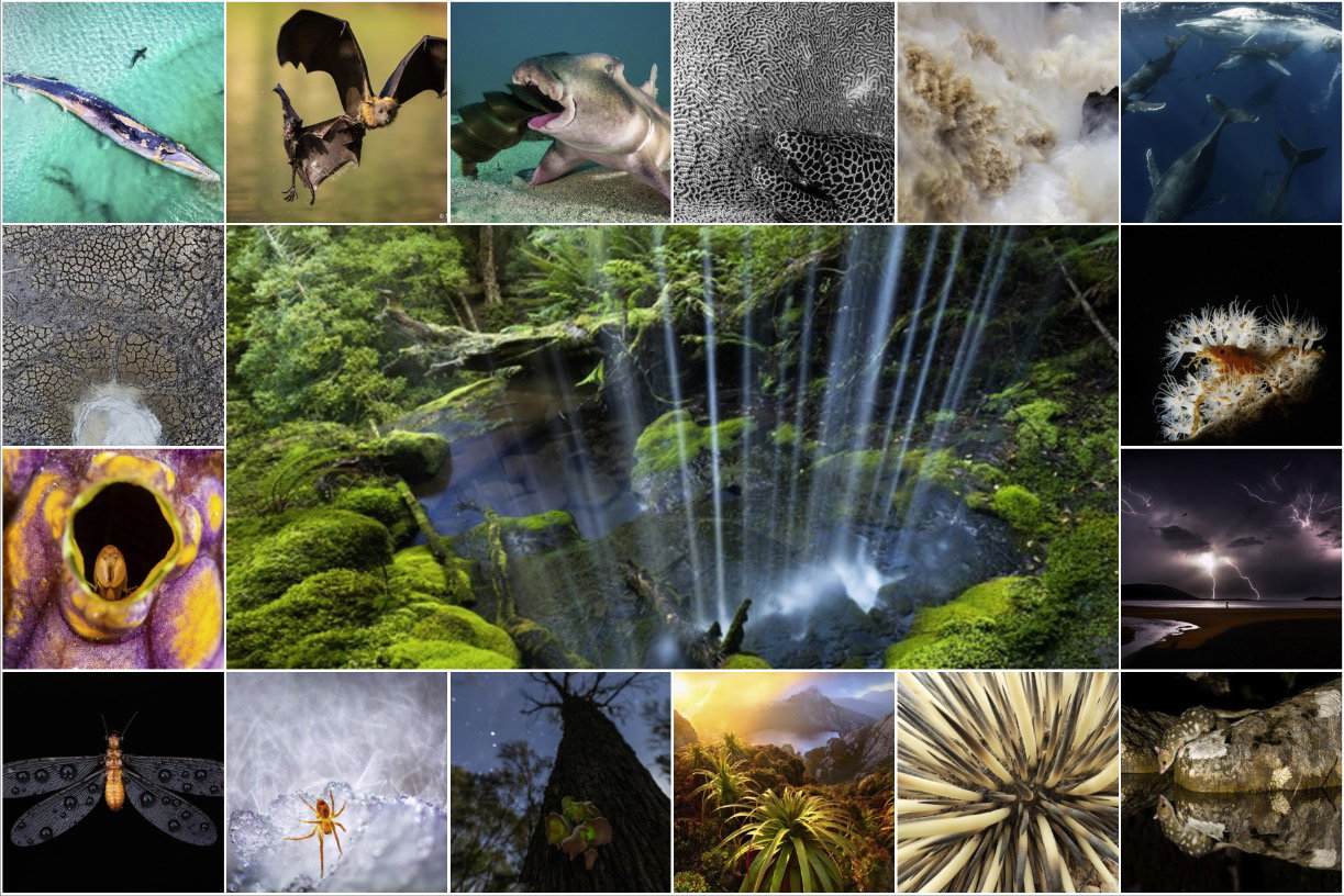 Australian Geographic Nature Photographer of the Year