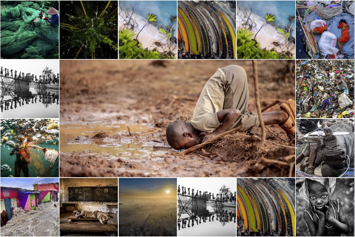 Te zdjęcia aż krzyczą. Zwycięzcy konkursu Environmental photographer of the year 2019