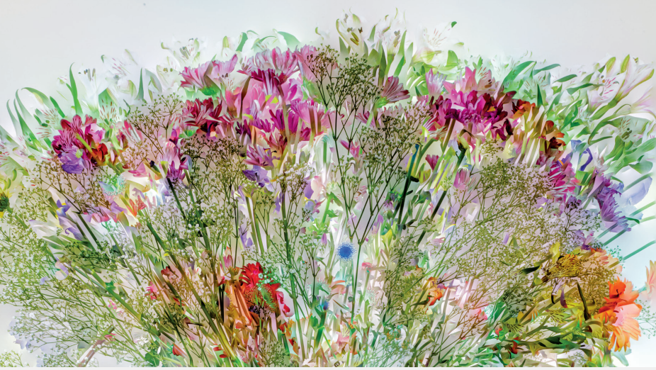 2020-05-04 21_02_46-013__PR Flowers For Lisa_pl.indd.pdf - Foxit Reader