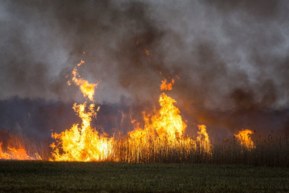 Pożar w Biebrzańskim Parku Narodowym