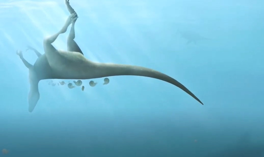 Nowy gatunek dinozaura