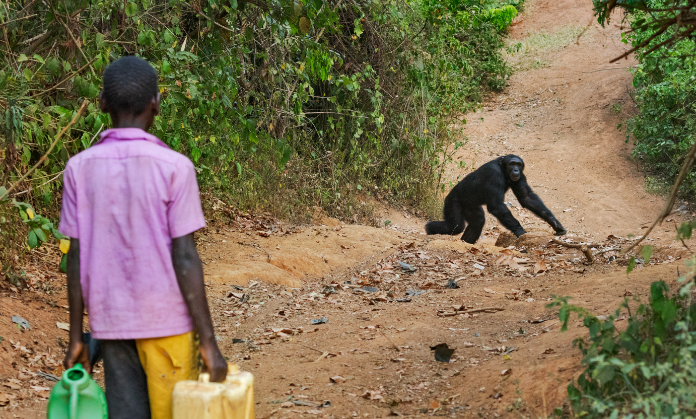 Uganda, "Życie w strachu"