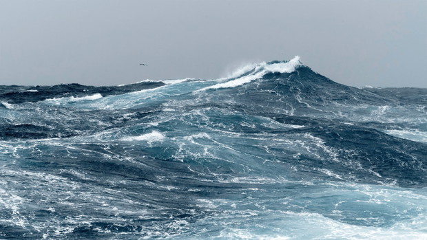 Światowy Dzień Oceanów. Zobacz, co TY możesz zrobić, by chronić bogactwo morskich ekosystemów