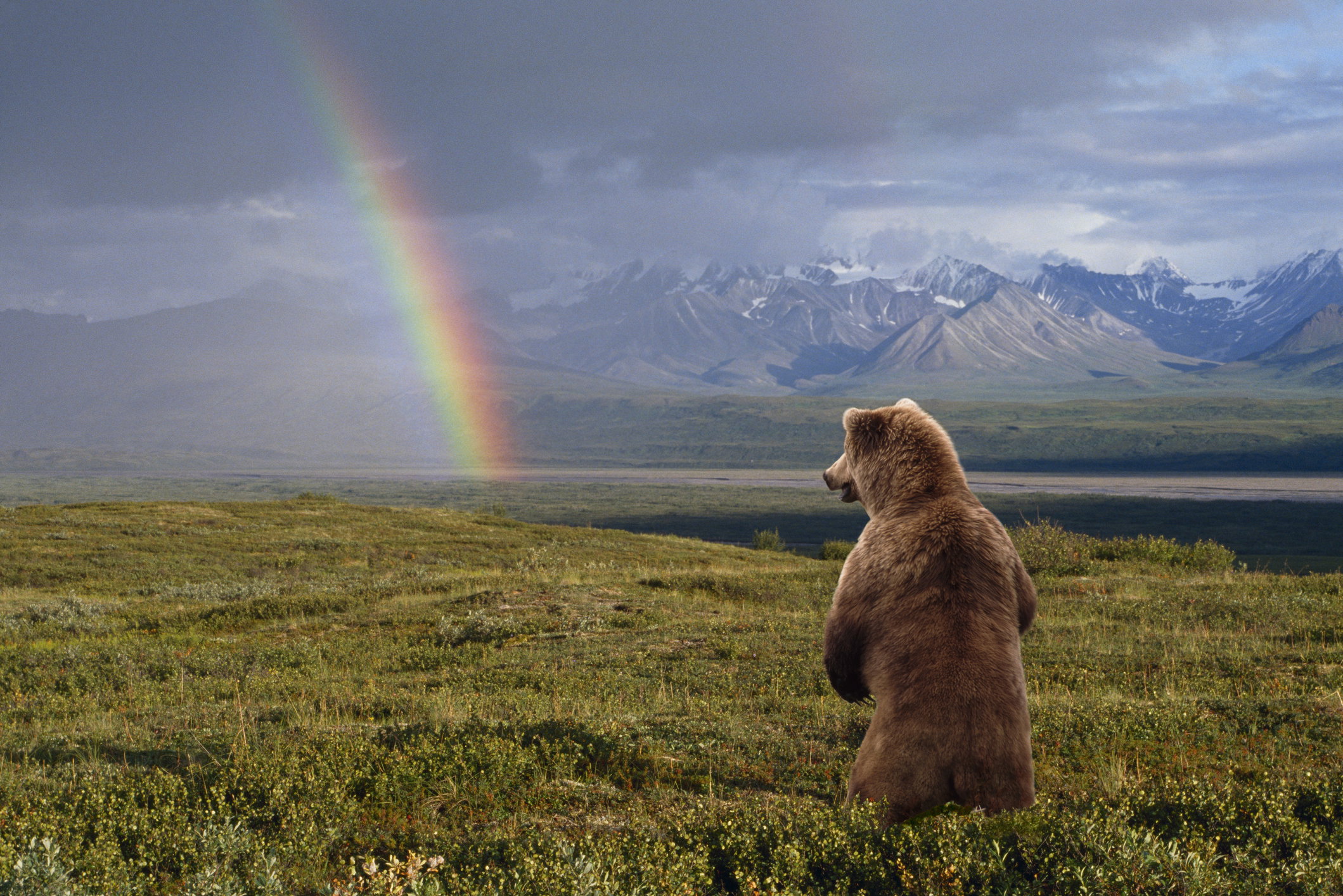 Denali