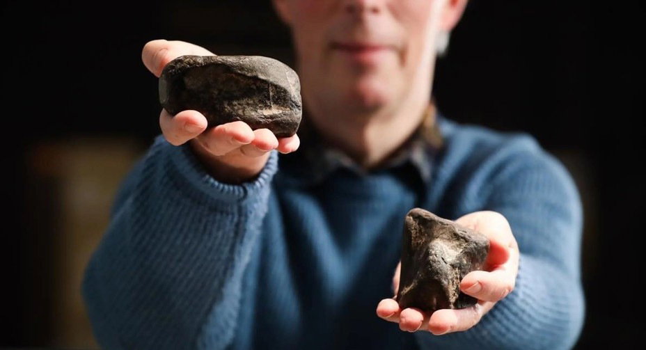 Mike Simms z kością piszczelową teropoda (po lewej) i kością udową Scelidosaurus (po prawej). fot. Uniwersytet Portsmouth