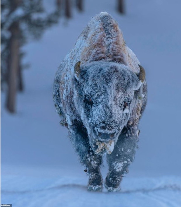 Weather Photographer of the Year 2020